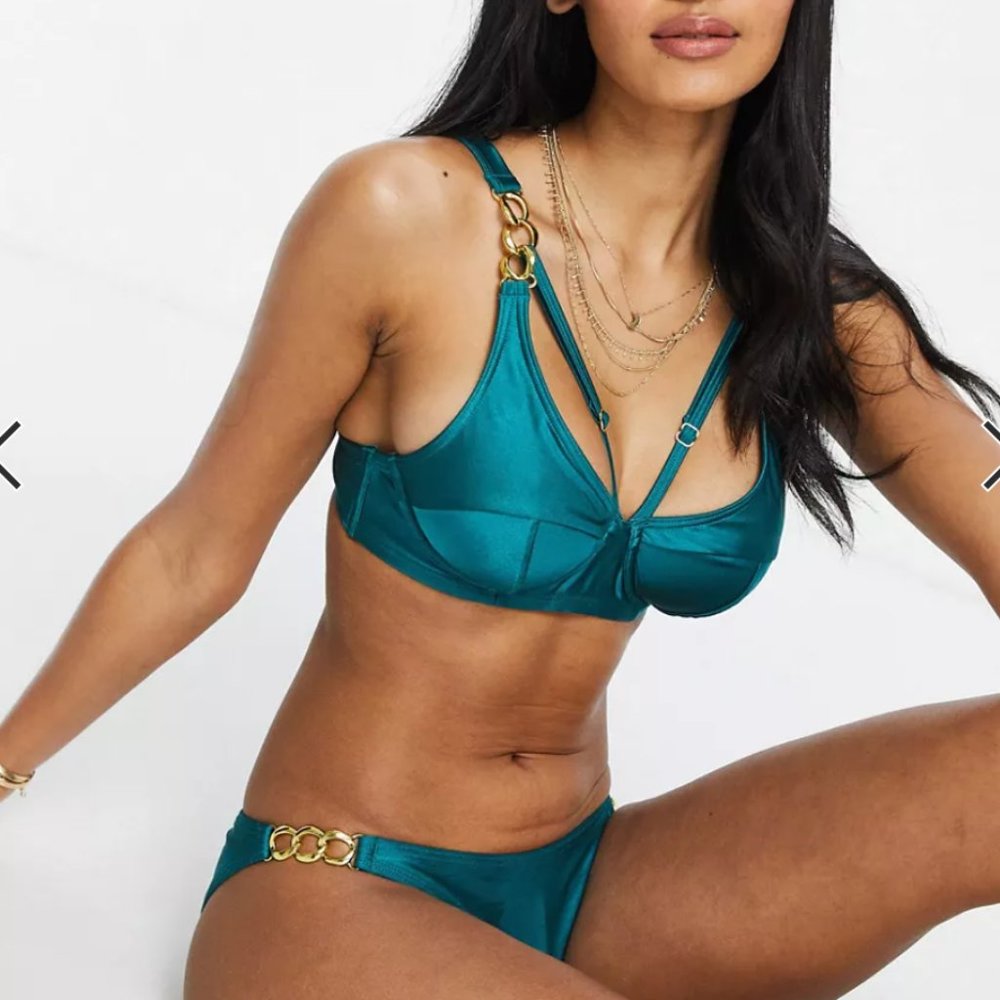 NWT WOLF + WHISTLE BIKINI SET
